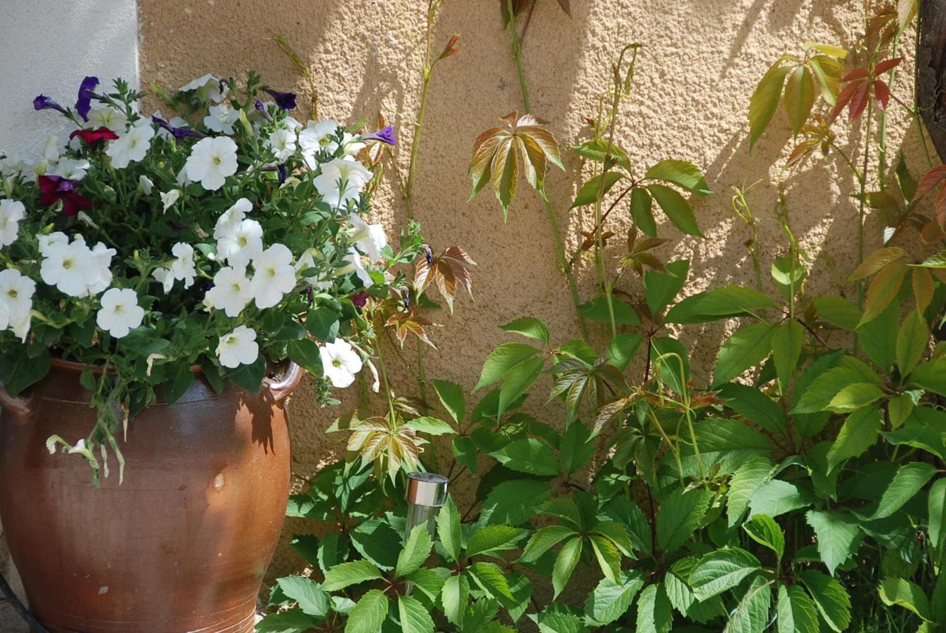 Le Domaine Saint Jean Bed & Breakfast Exterior photo